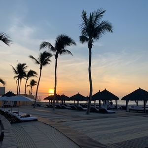 Meet your Posher, Sophia